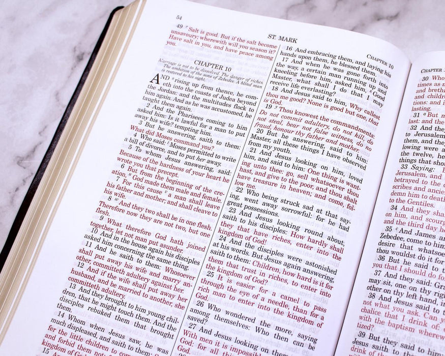 Douay-Rheims Bible Large Print Edition