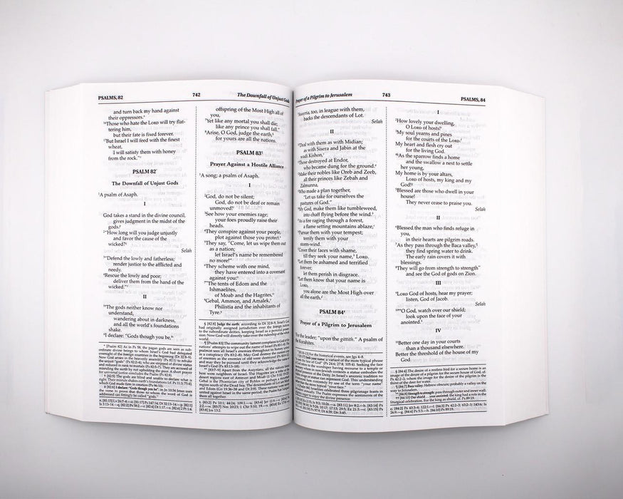 New American Bible Revised Edition