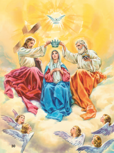 Mary My Mother by Father Lovasik, S.V.D.