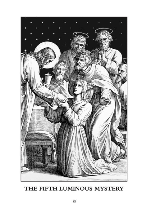 Pocket Guide to the Rosary: Reflections from the Bible and the Saints by Matt Fradd