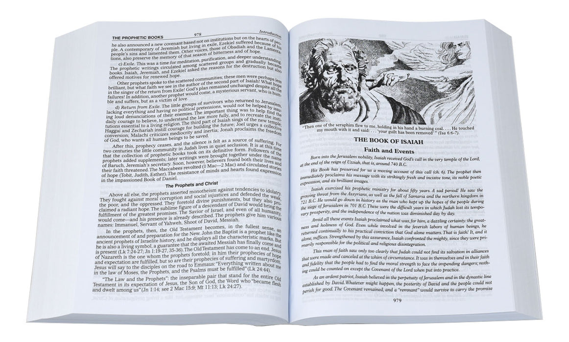 Brown Imitation Leather St. Joseph New Catholic Bible - Large Type