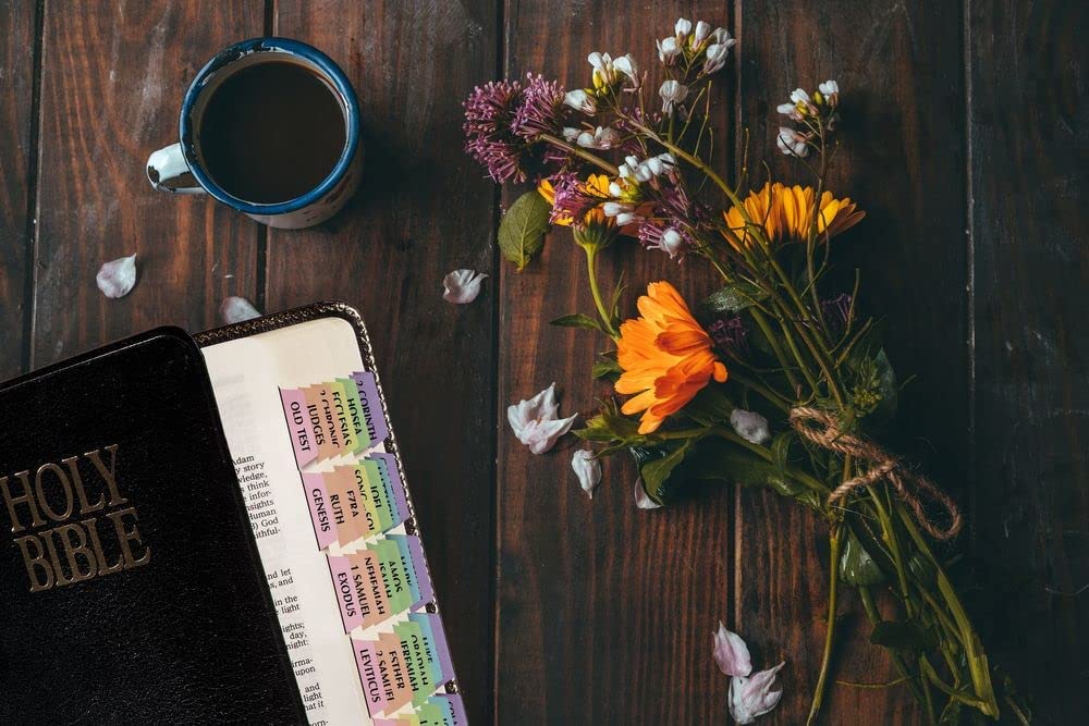 Catholic Bible Indexing Tabs - Rainbow Colored