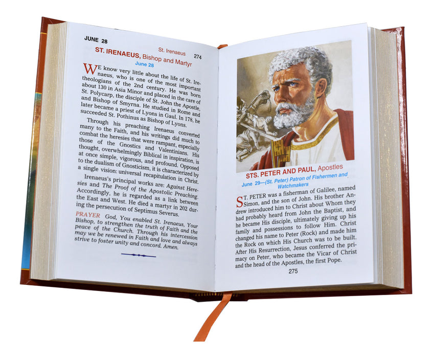 Illustrated Lives of the Saints (Hardcover)