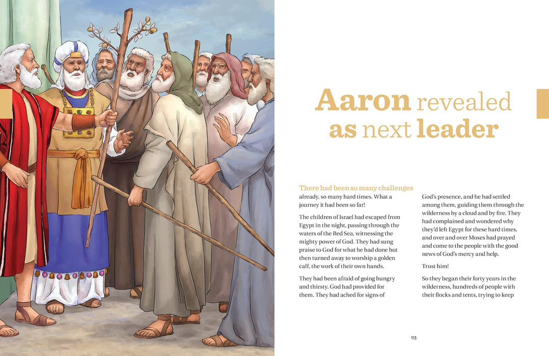 Great Adventure Kids Catholic Bible Chronicles by Amy Welborn and Michael LaVoy