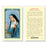 Mother of Sorrows Laminated Holy Card