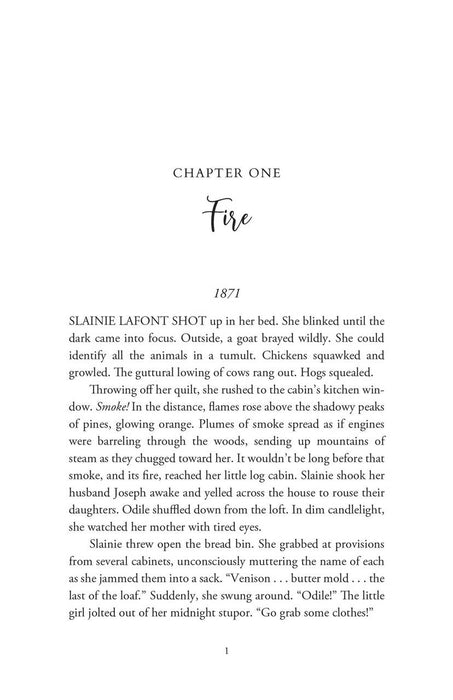 The Woman in the Trees: A novel about America's first approved Marian apparition by Theoni Bell