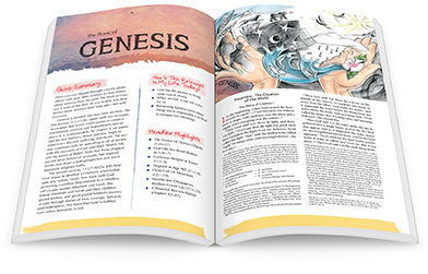 The Catholic Youth Bible® 4th Edition