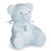 Blue Bear Bank