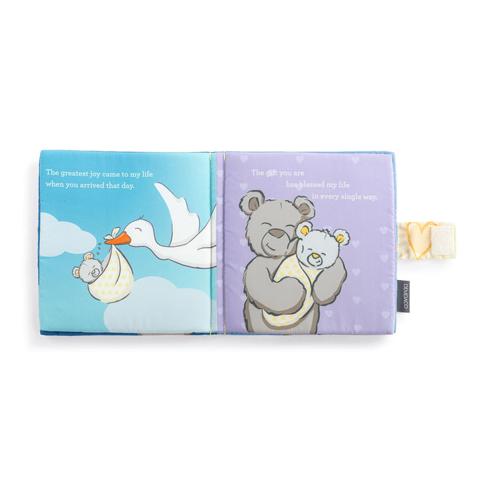Miracle Plush Baby Book