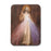 8" Divine Mercy Wall Plaque