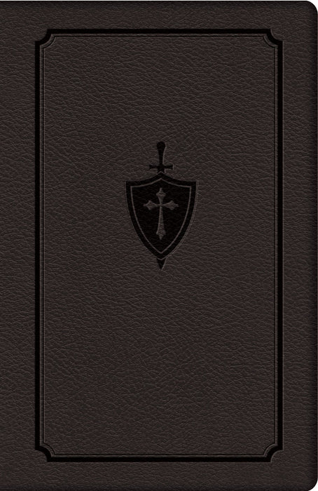 Manual for Conquering Deadly Sin by Fr. Dennis Kolinski S.J.C.