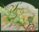 The Squire and the Scroll by Jennie Bishop and Illustrated by Preston McDaniels