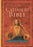 Revised Standard Version Catholic Bible: Large Print Edition