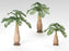Palm Tree 3pc. Set