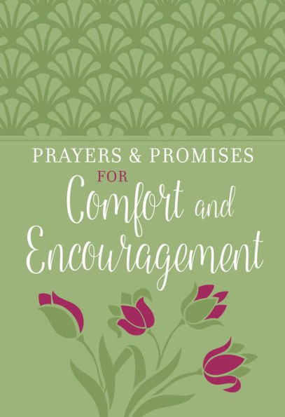 Prayers and Promises for Comfort and Encouragement